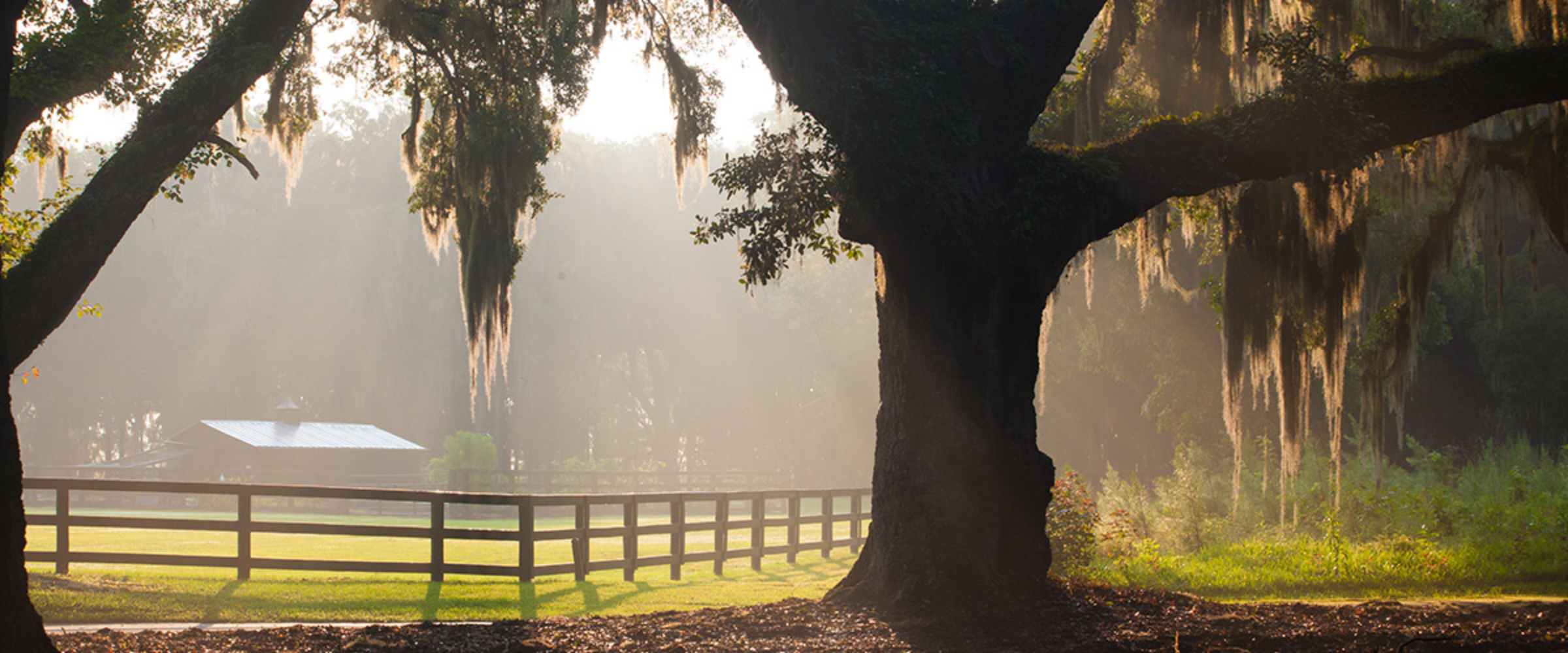 Alabama Land For Sale Cheap