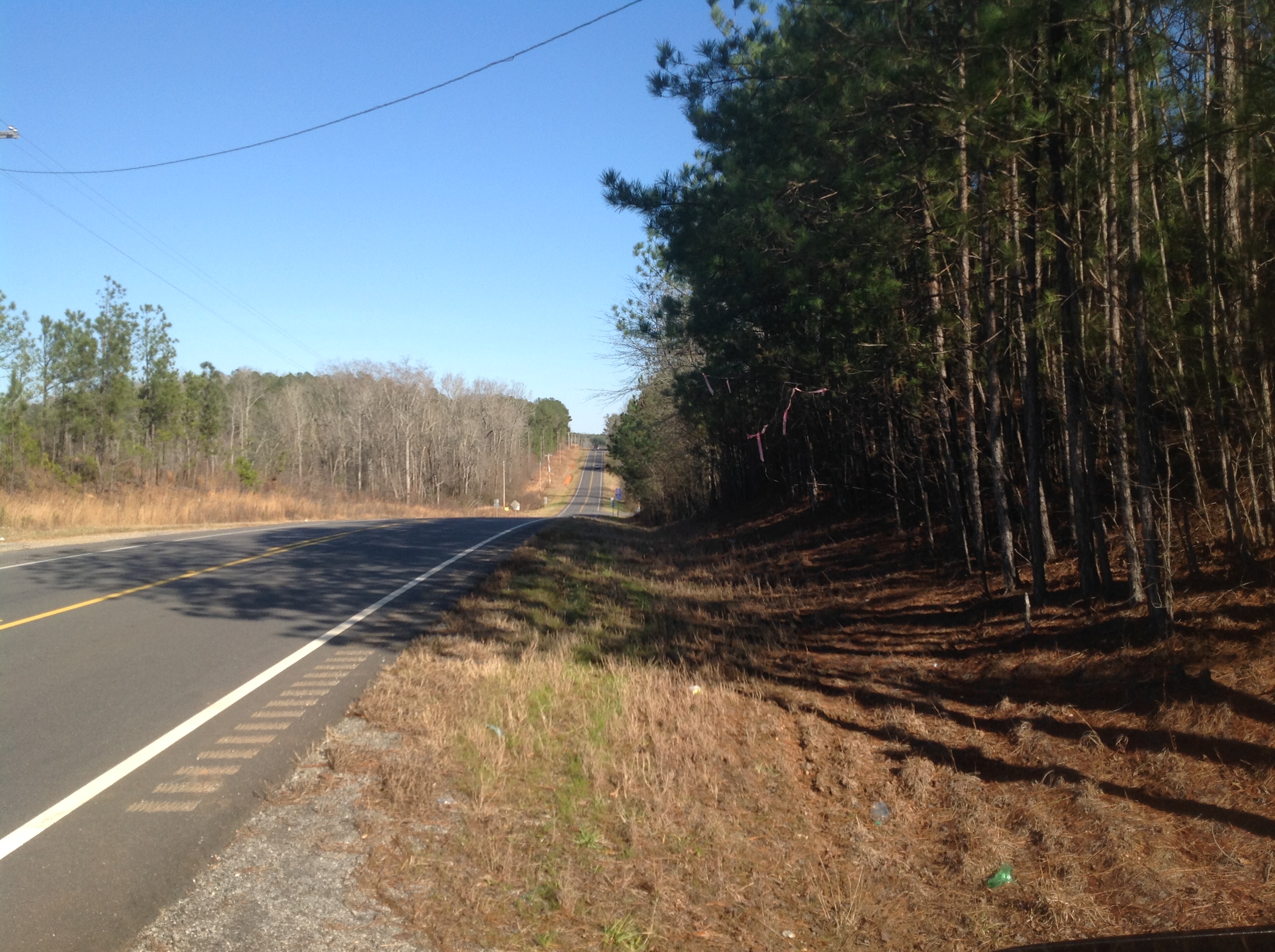 Photo 5 - Alabama Land For Sale