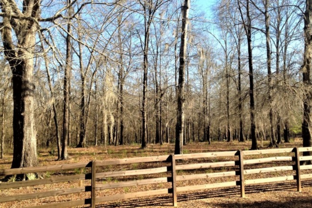 homes with land for sale in bibb county alabama